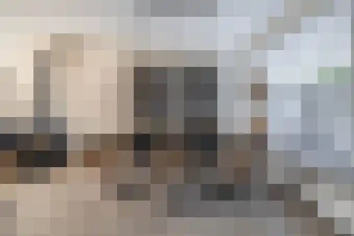 Chopinlaan 28 Waddinxveen thumbnail 13