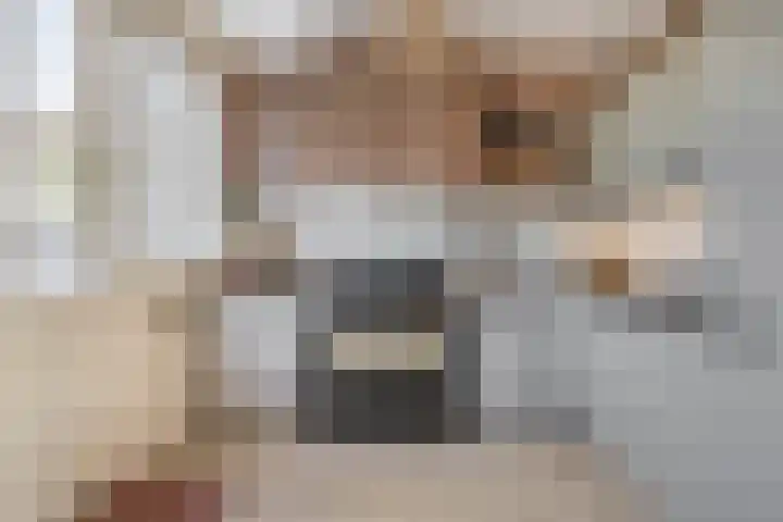 Chopinlaan 28 Waddinxveen thumbnail 14