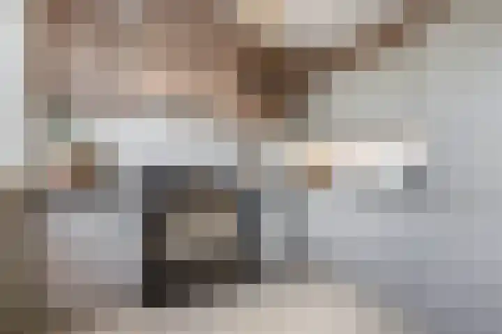 Chopinlaan 28 Waddinxveen thumbnail 15