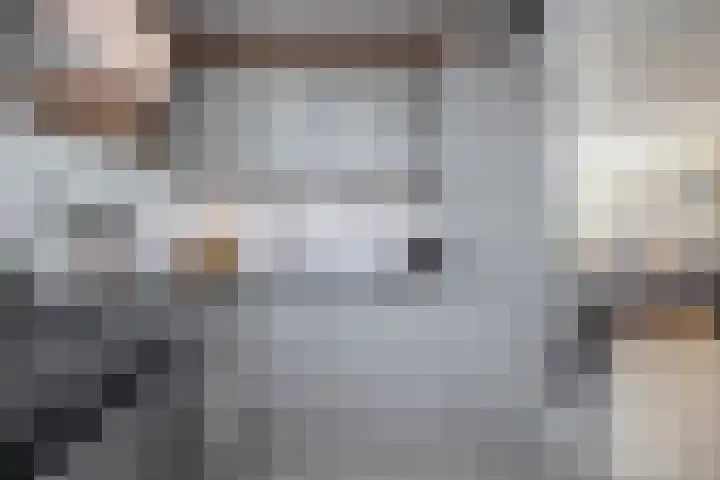 Chopinlaan 28 Waddinxveen thumbnail 17