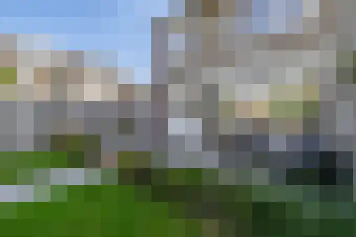 Chopinlaan 28 Waddinxveen thumbnail 24
