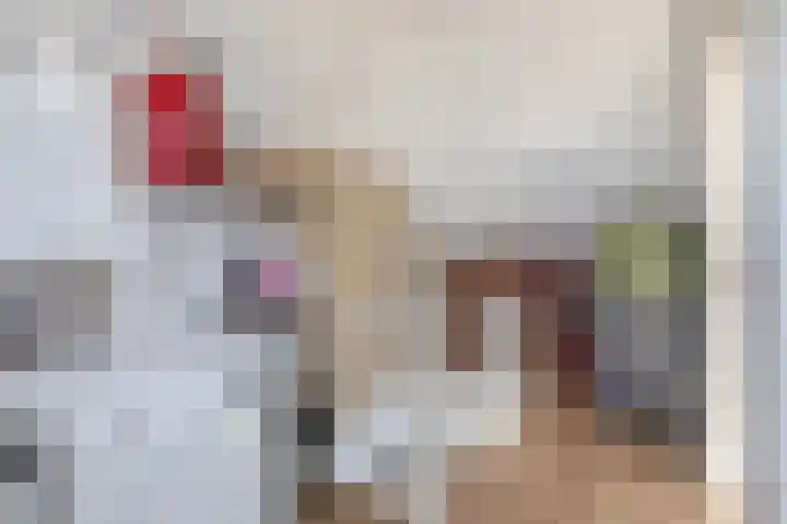 Chopinlaan 28 Waddinxveen thumbnail 33