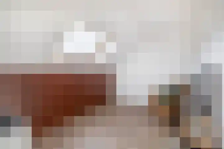 Chopinlaan 28 Waddinxveen thumbnail 35