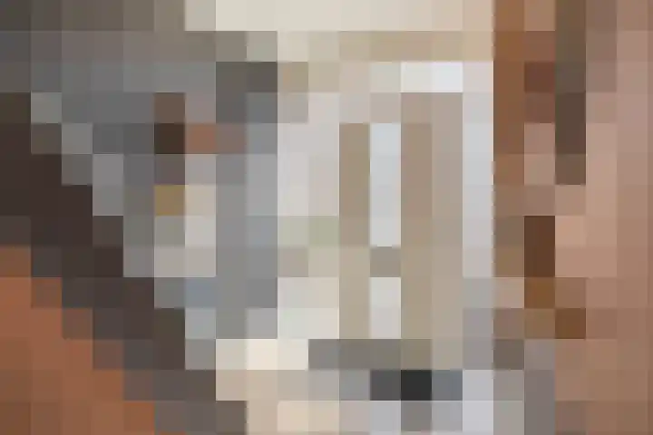 Chopinlaan 28 Waddinxveen thumbnail 6