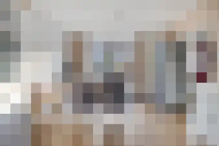 Chopinlaan 29 Eindhoven thumbnail 14