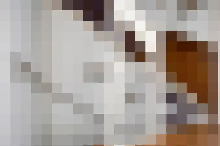 Chopinlaan 29 Eindhoven thumbnail 15