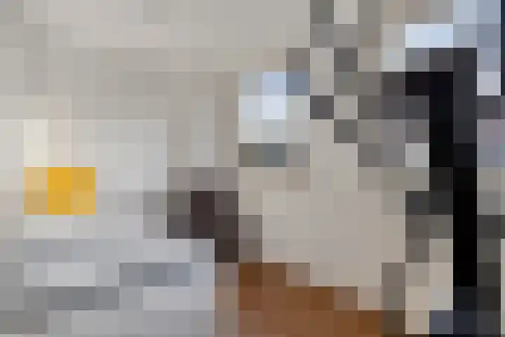 Chopinlaan 29 Eindhoven thumbnail 22