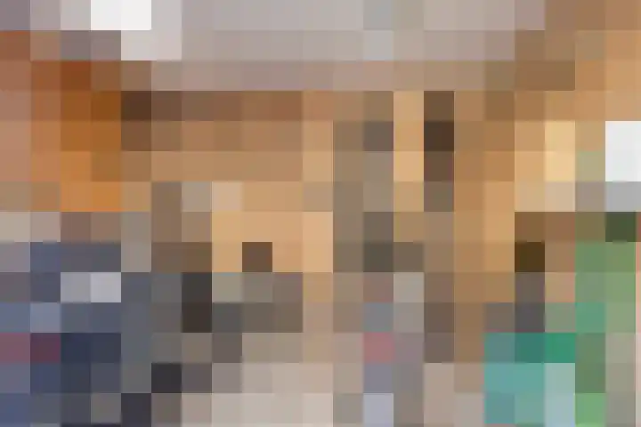Chopinlaan 29 Eindhoven thumbnail 30