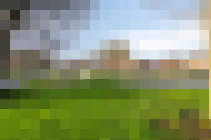 Chopinlaan 29 Eindhoven thumbnail 32
