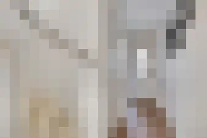 Chopinlaan 29 Eindhoven thumbnail 6