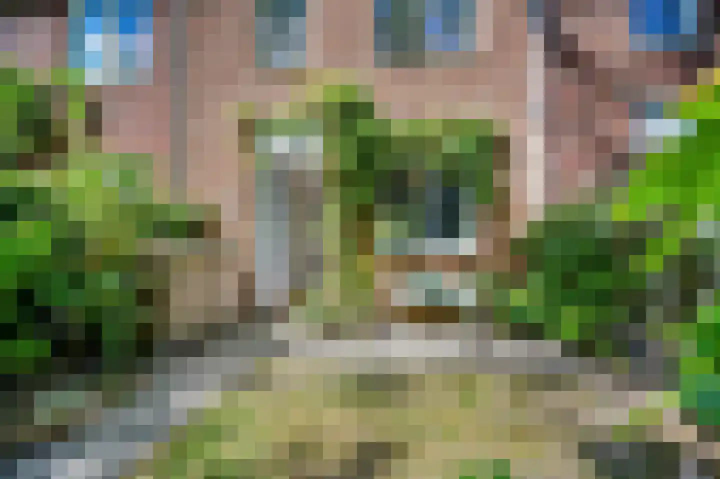 Chopinlaan 3 B Delft thumbnail 10