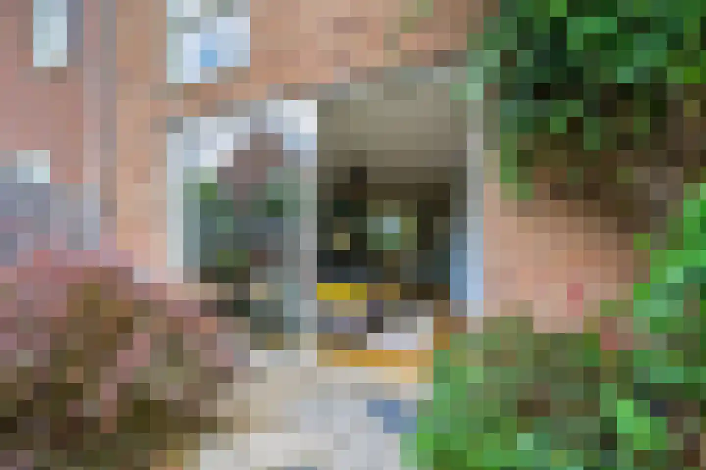 Chopinlaan 3 B Delft thumbnail 23