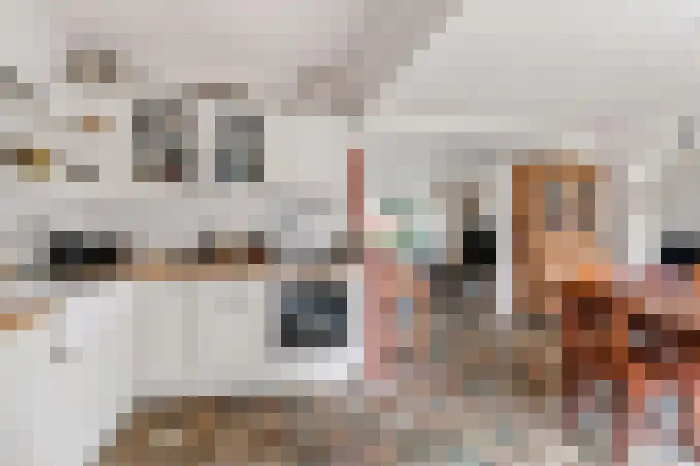 Chopinlaan 30 Waddinxveen thumbnail 18