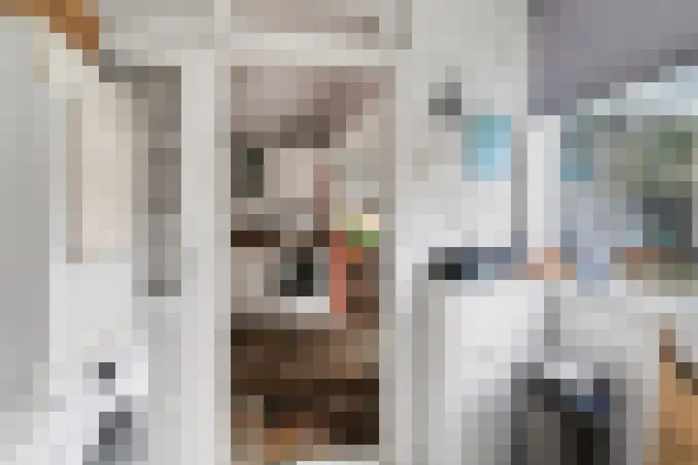 Chopinlaan 30 Waddinxveen thumbnail 21