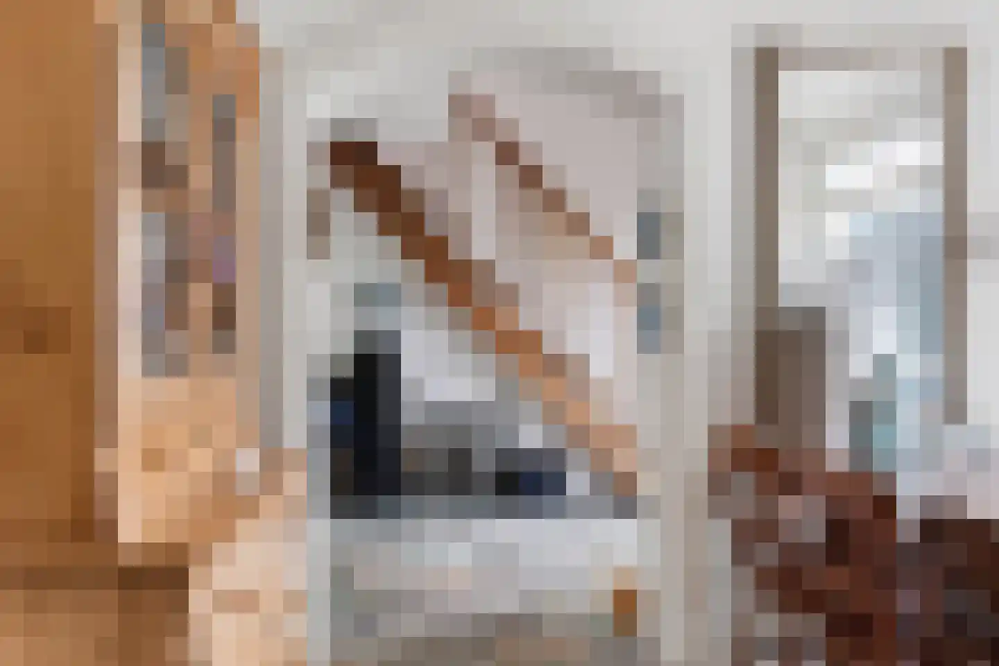 Chopinlaan 30 Waddinxveen thumbnail 22