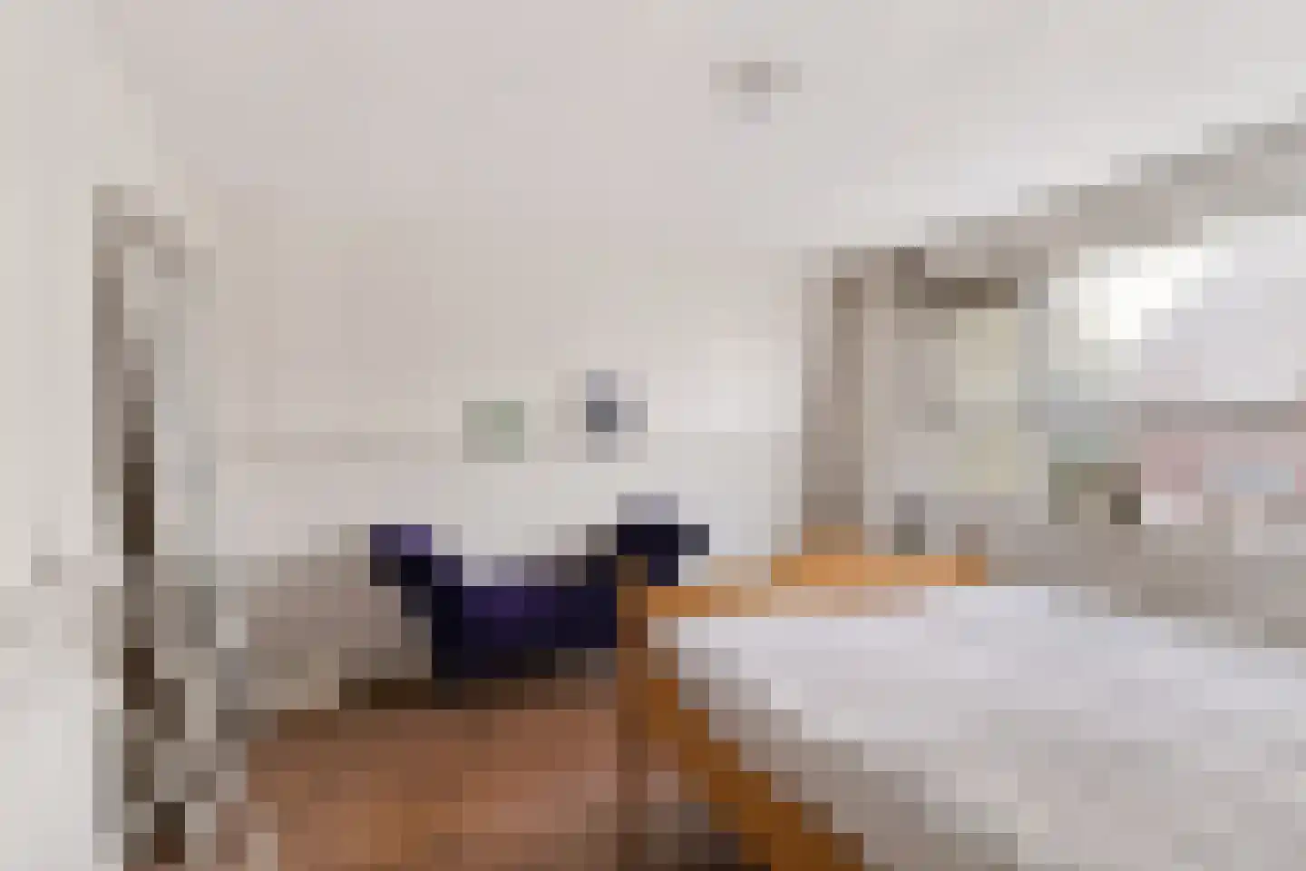 Chopinlaan 30 Waddinxveen thumbnail 29