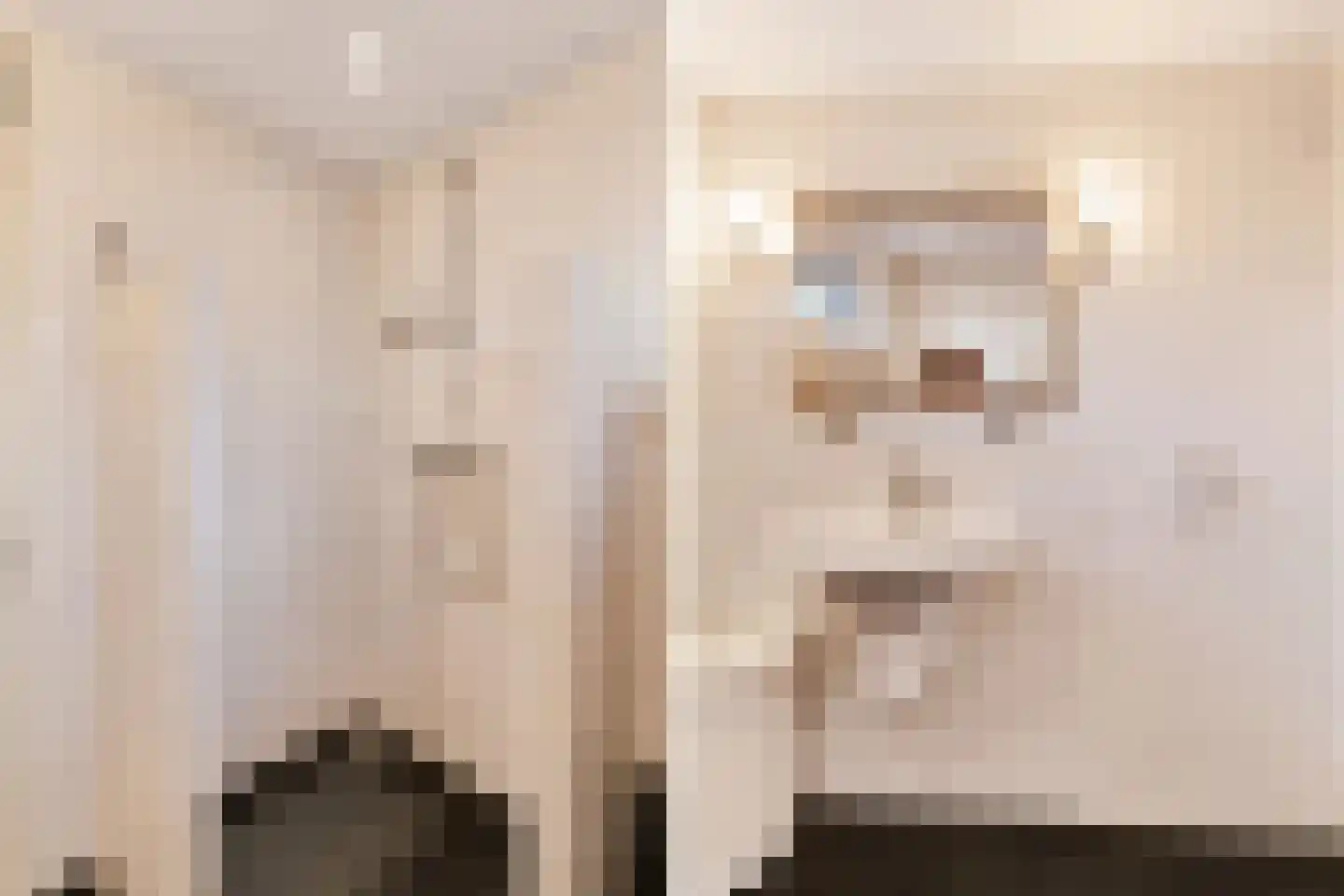 Chopinlaan 30 Waddinxveen thumbnail 34