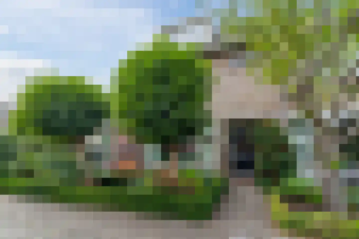 Chopinlaan 30 Waddinxveen thumbnail 4
