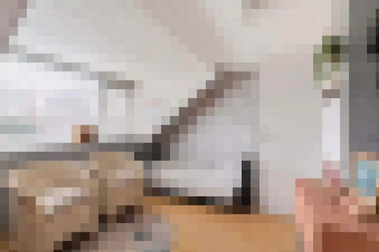 Chopinlaan 30 Waddinxveen thumbnail 40