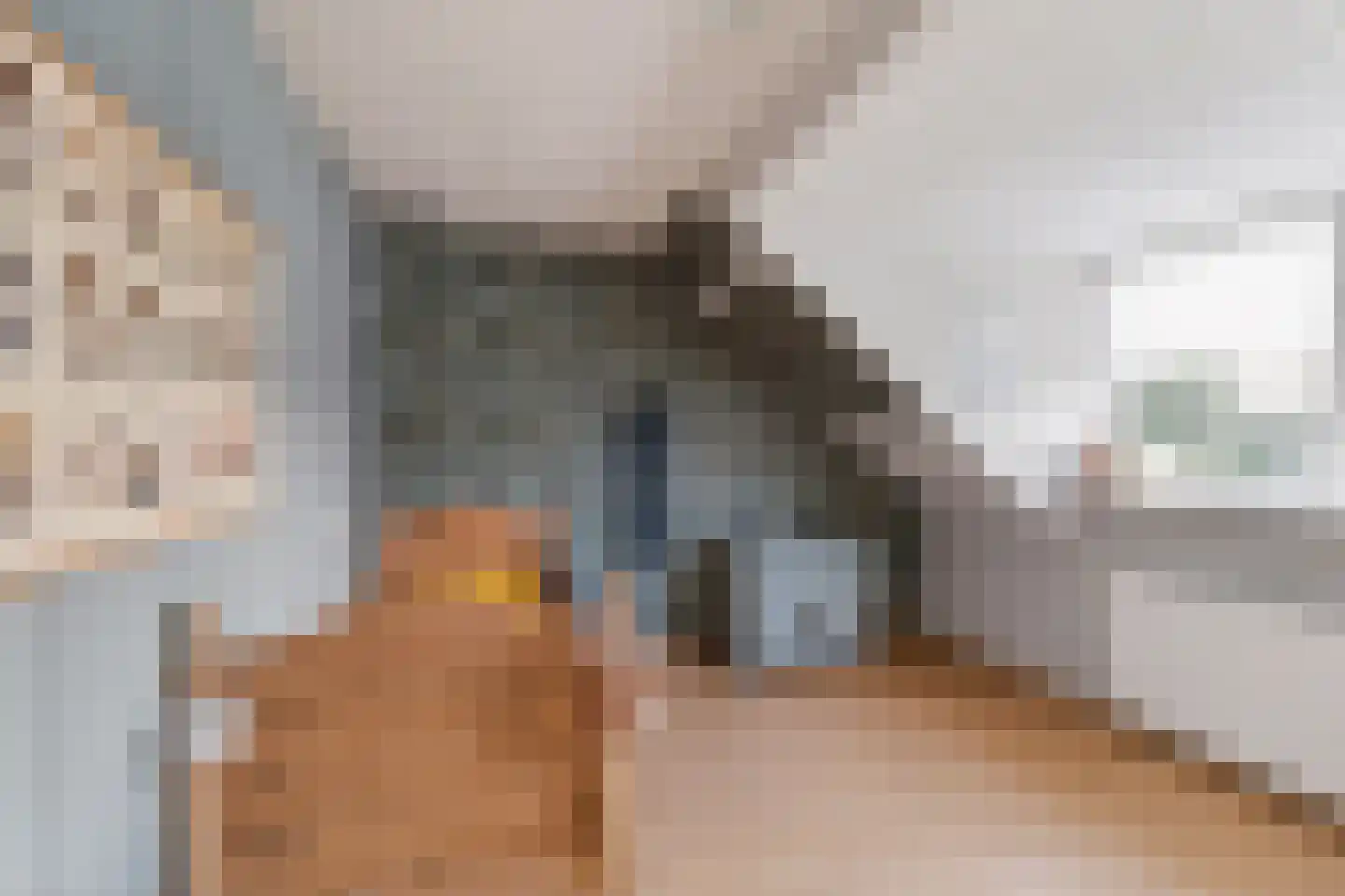 Chopinlaan 30 Waddinxveen thumbnail 43