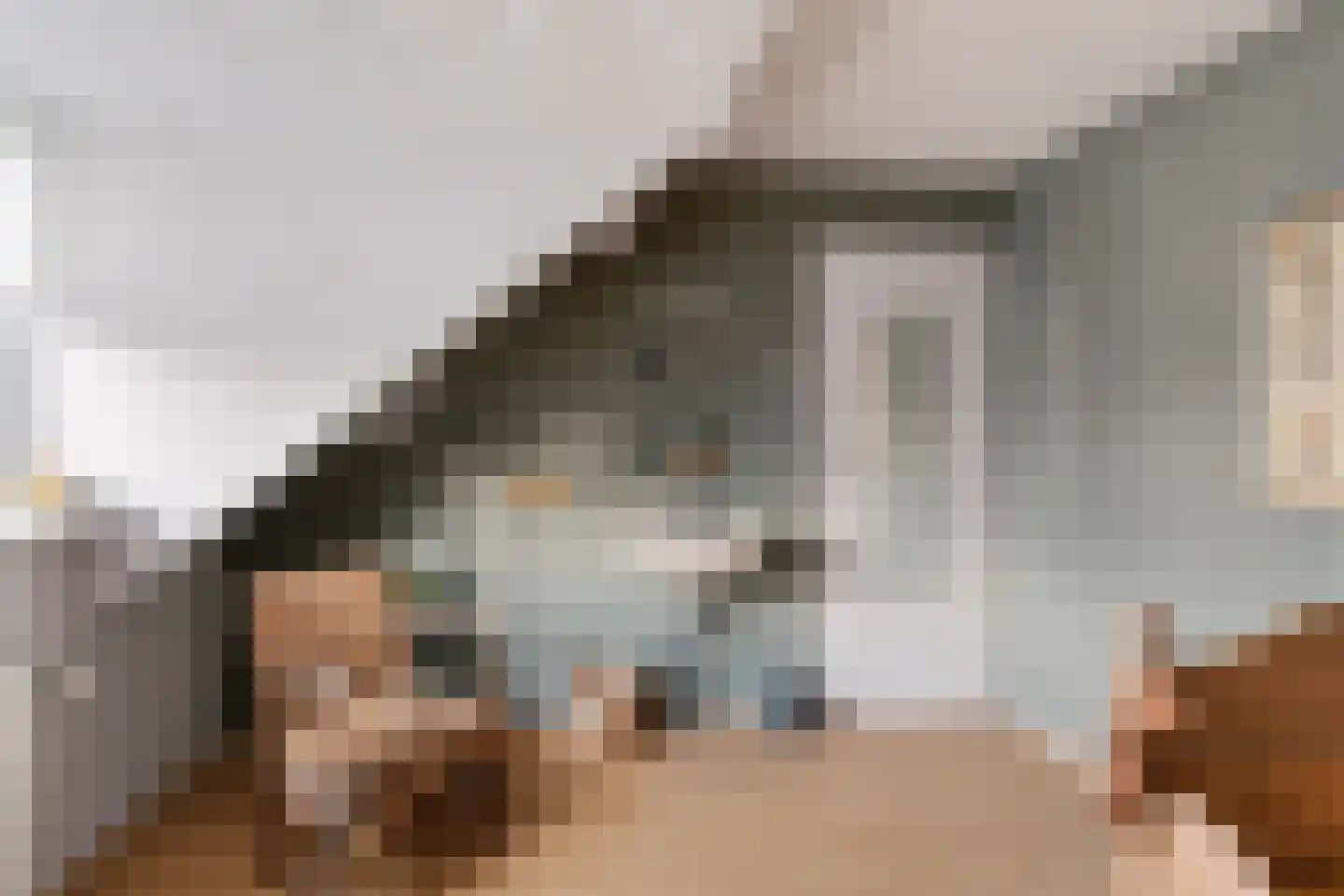 Chopinlaan 30 Waddinxveen thumbnail 44
