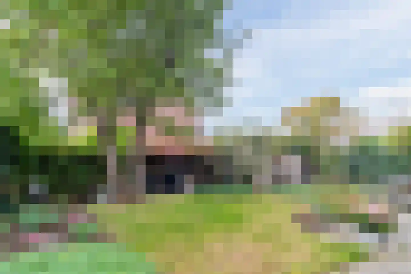 Chopinlaan 30 Waddinxveen thumbnail 46