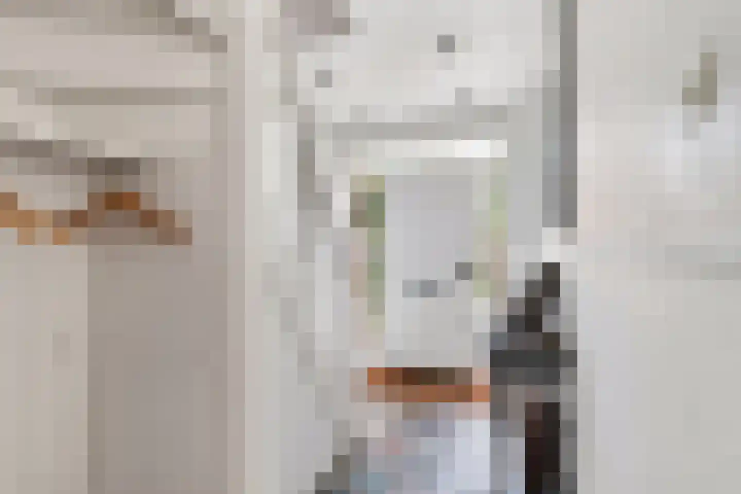 Chopinlaan 30 Waddinxveen thumbnail 5
