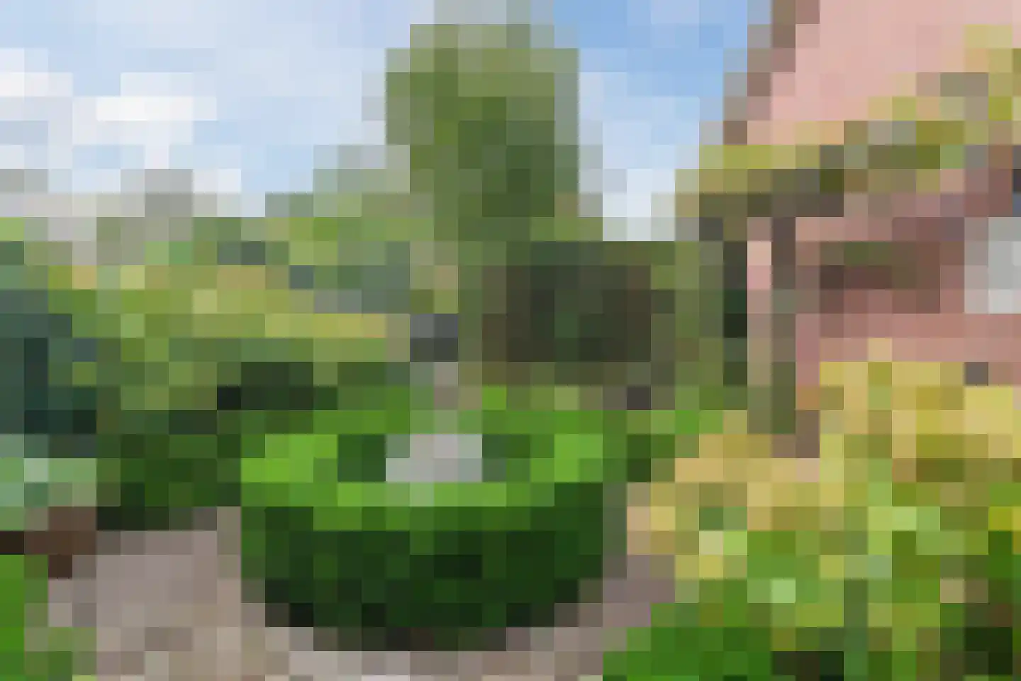 Chopinlaan 30 Waddinxveen thumbnail 52