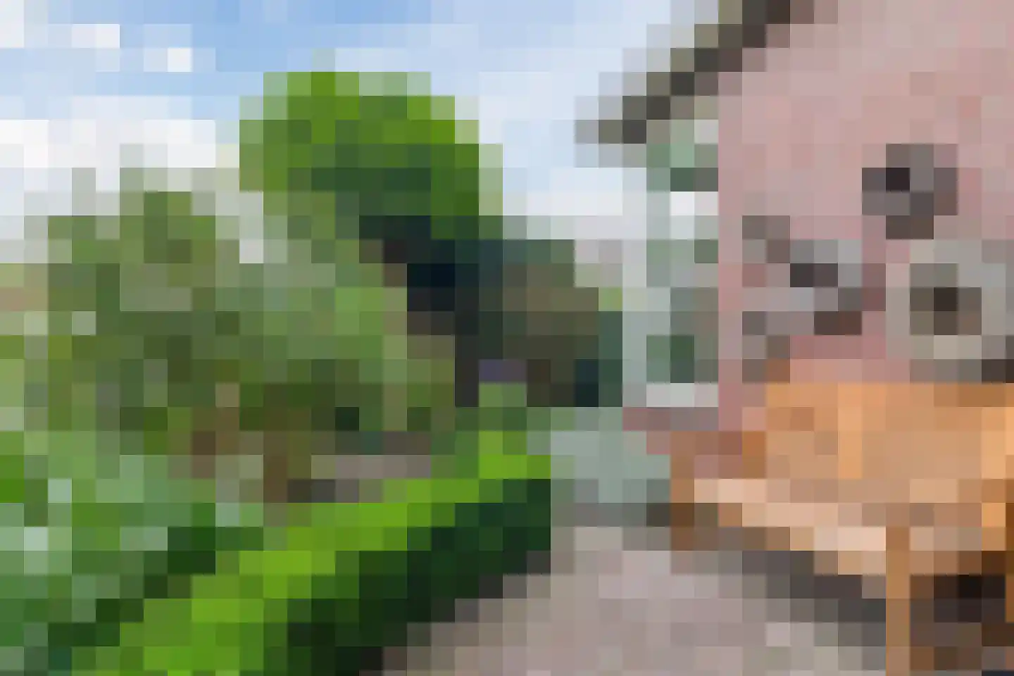 Chopinlaan 30 Waddinxveen thumbnail 53