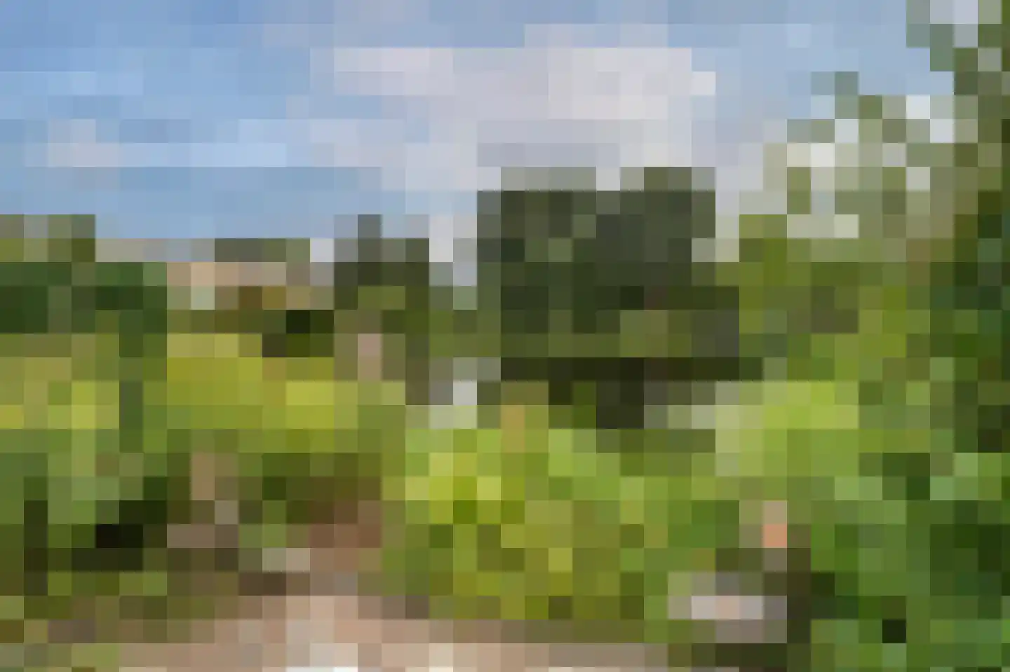 Chopinlaan 31 Voorschoten thumbnail 26