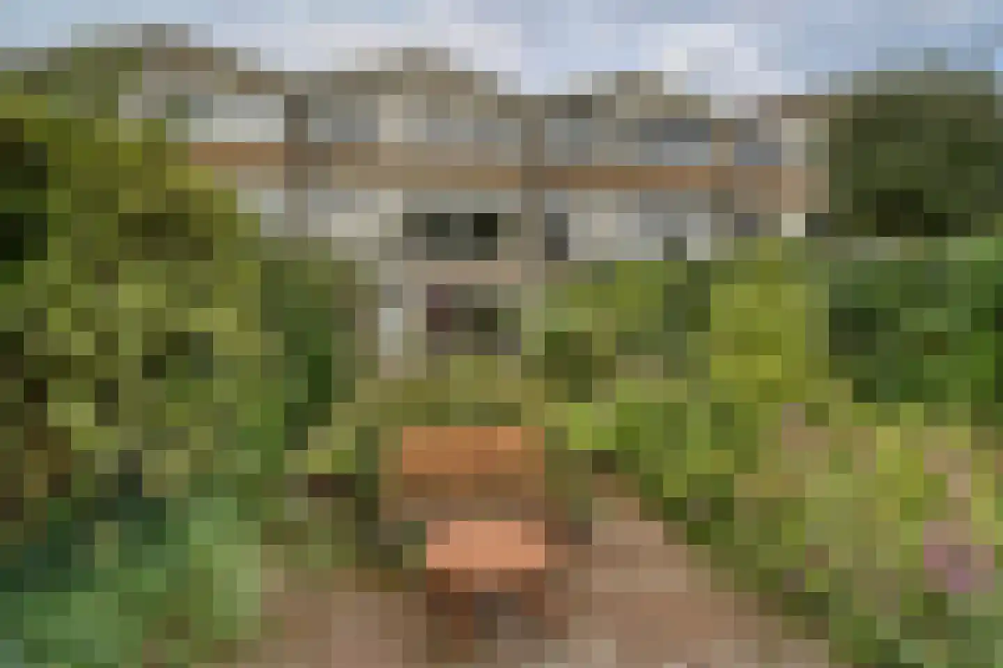 Chopinlaan 31 Voorschoten thumbnail 27