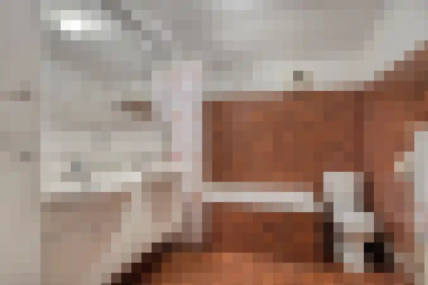 Chopinlaan 31 Voorschoten thumbnail 33