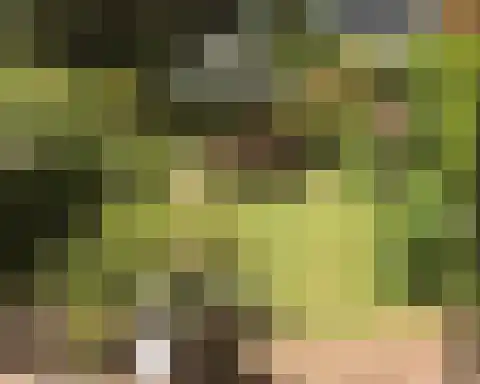 Chopinlaan 31 Voorschoten thumbnail 36