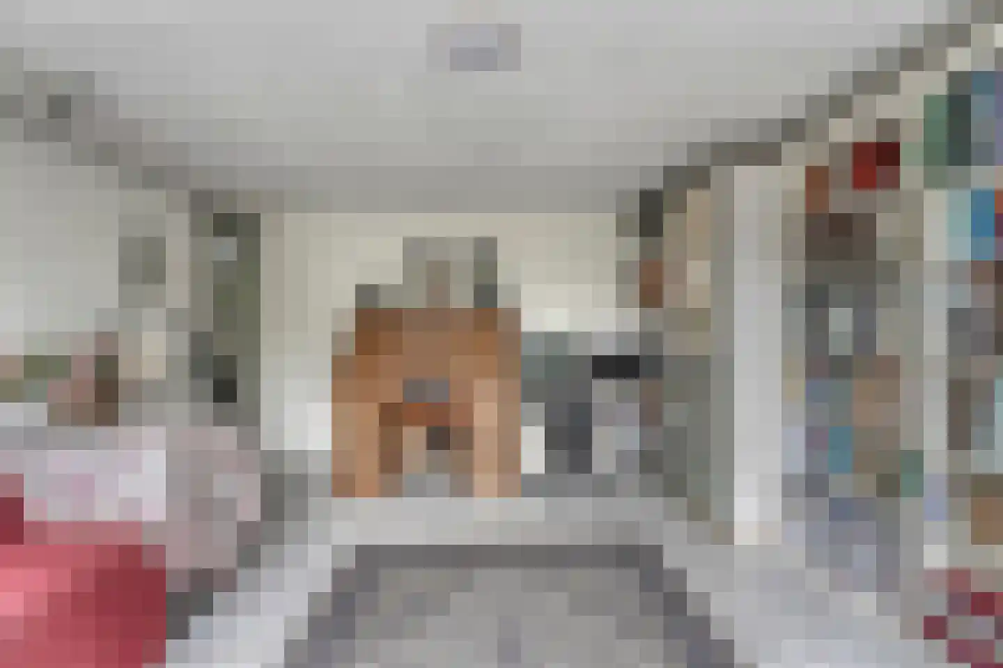 Chopinlaan 31 Voorschoten thumbnail 6