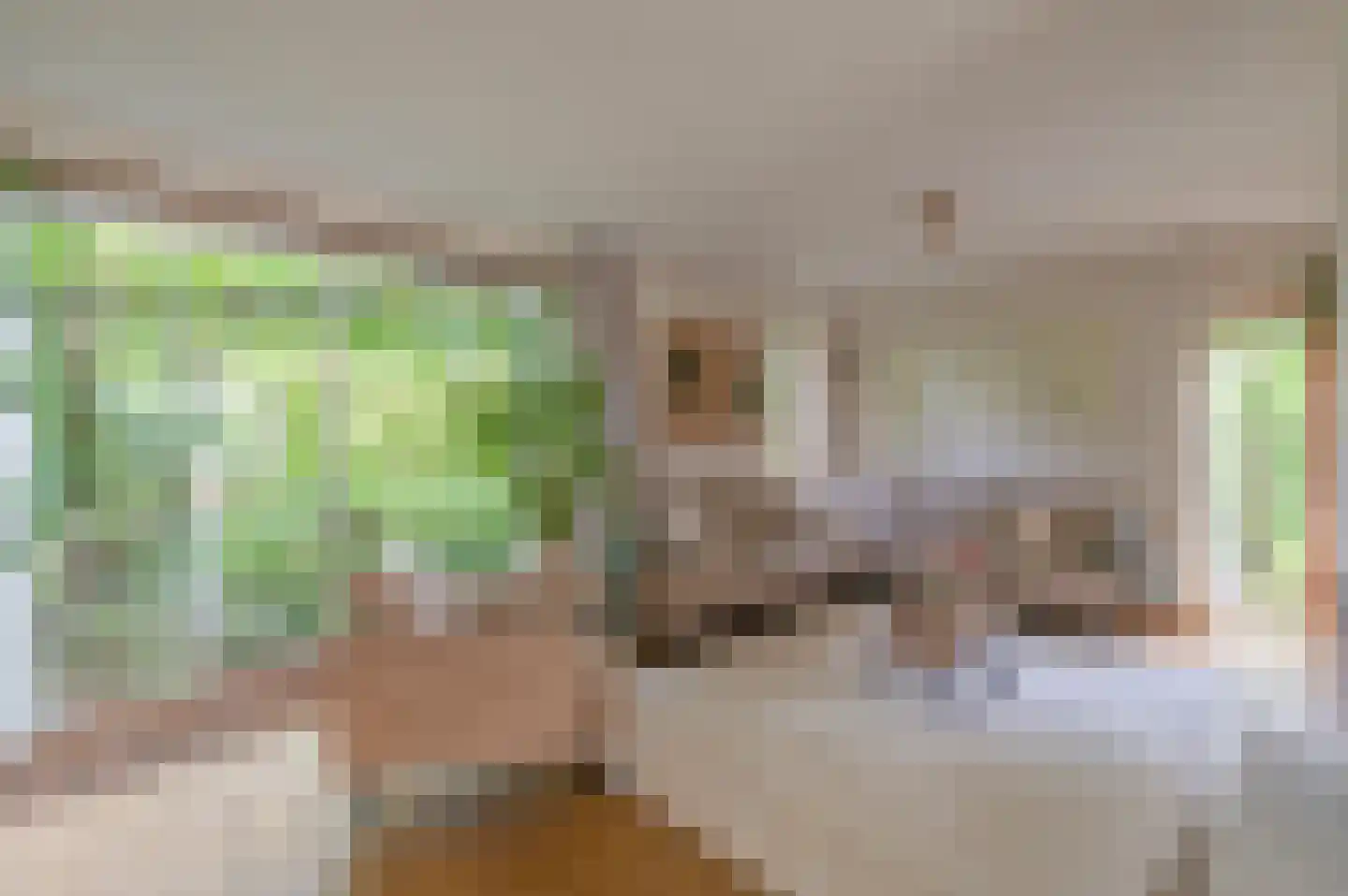 Chopinlaan 34 Waalre thumbnail 10