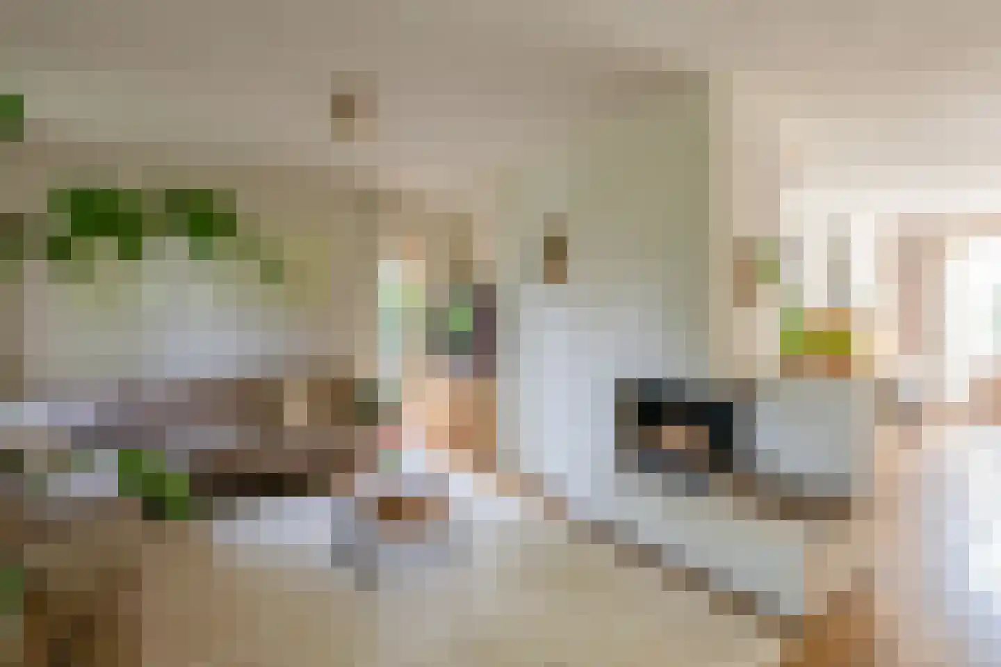 Chopinlaan 34 Waalre thumbnail 11