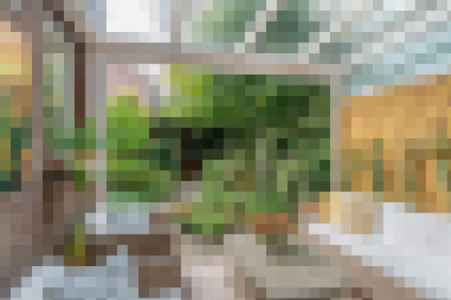 Chopinlaan 34 Waalre thumbnail 18