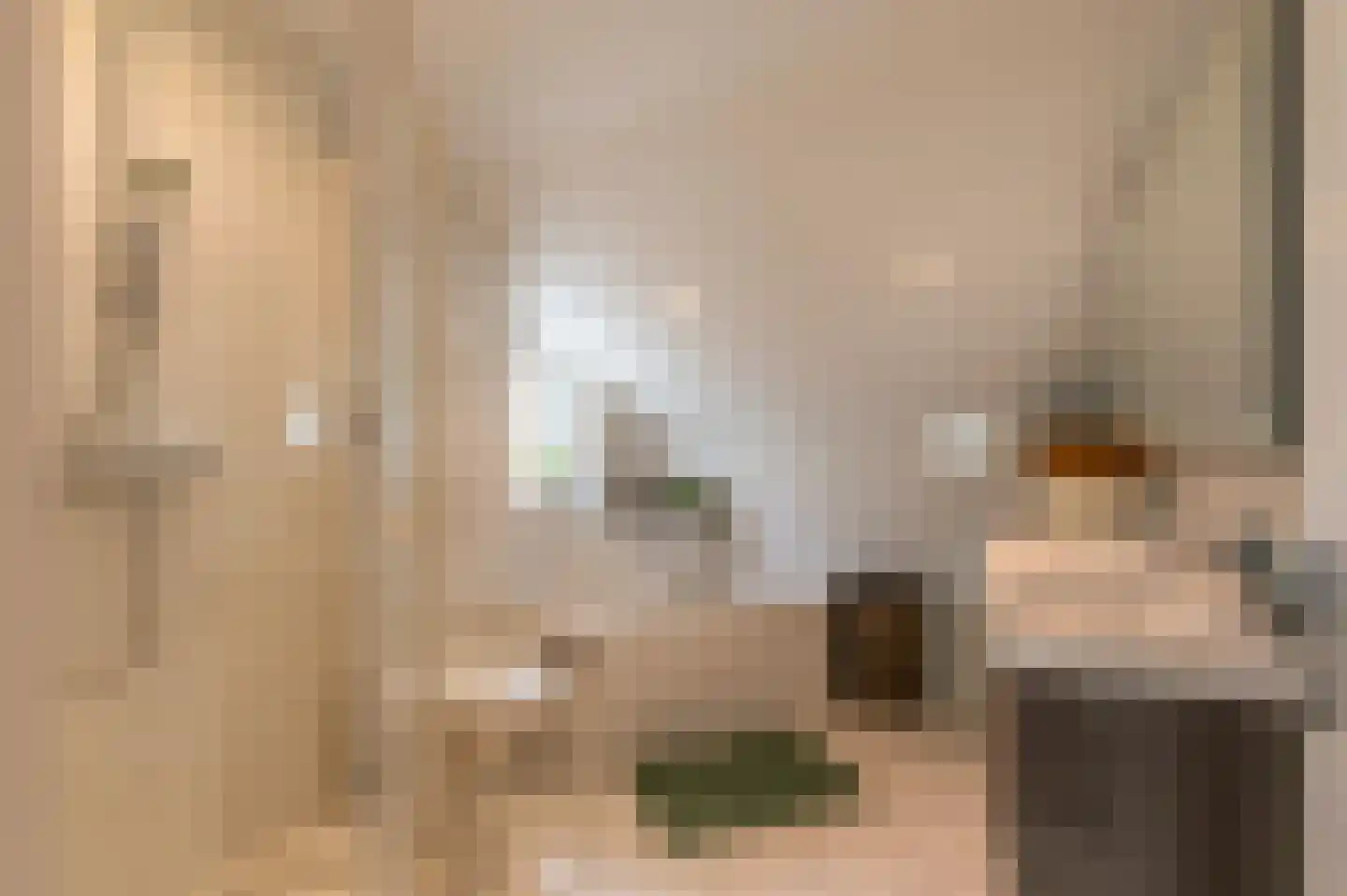 Chopinlaan 34 Waalre thumbnail 21