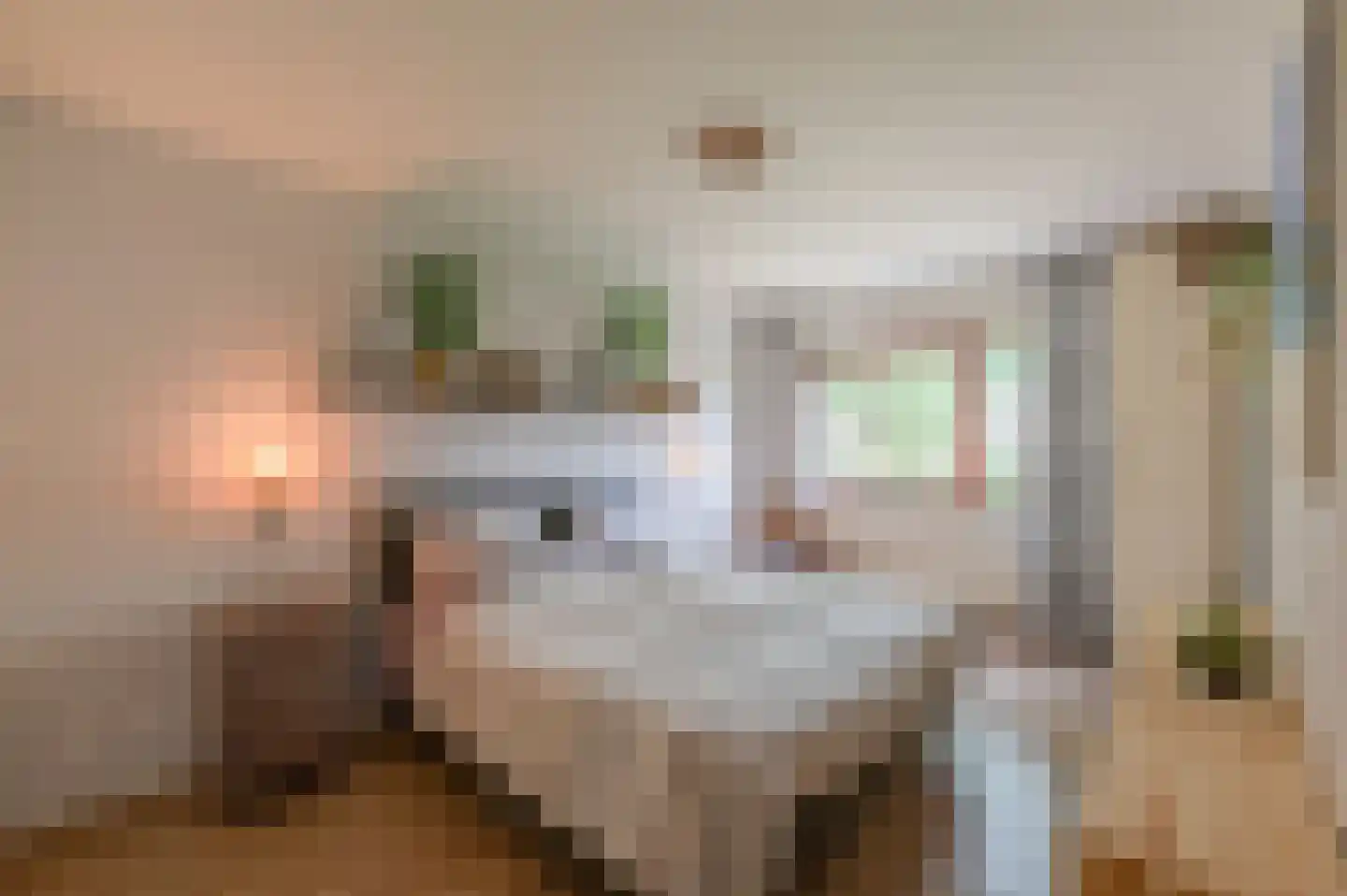 Chopinlaan 34 Waalre thumbnail 24