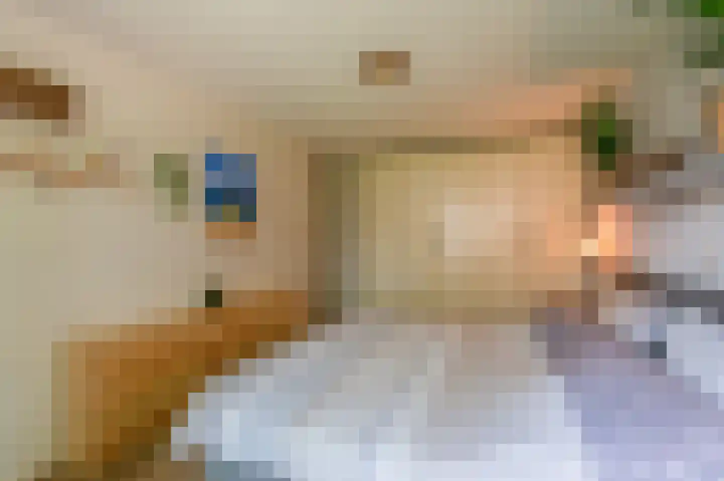 Chopinlaan 34 Waalre thumbnail 25
