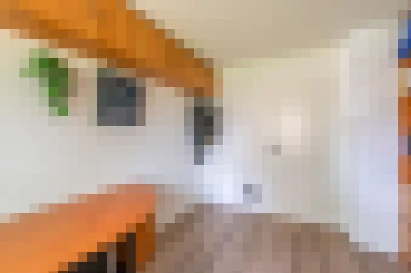 Chopinlaan 34 Waalre thumbnail 27