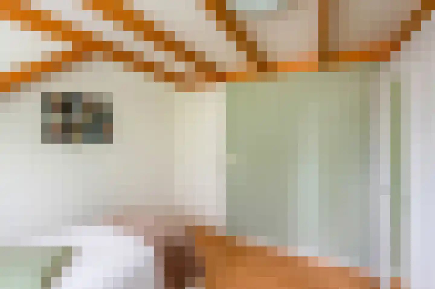 Chopinlaan 34 Waalre thumbnail 33