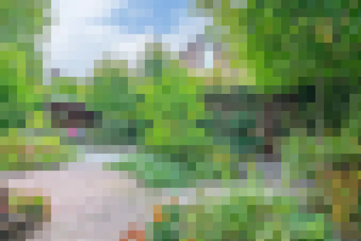 Chopinlaan 34 Waalre thumbnail 35