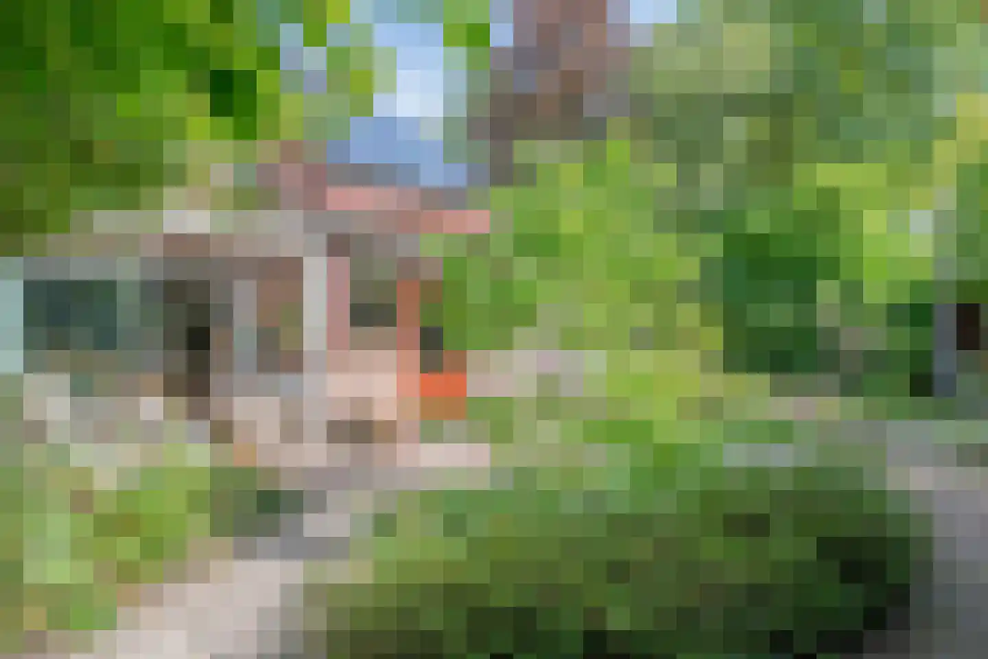 Chopinlaan 34 Waalre thumbnail 36