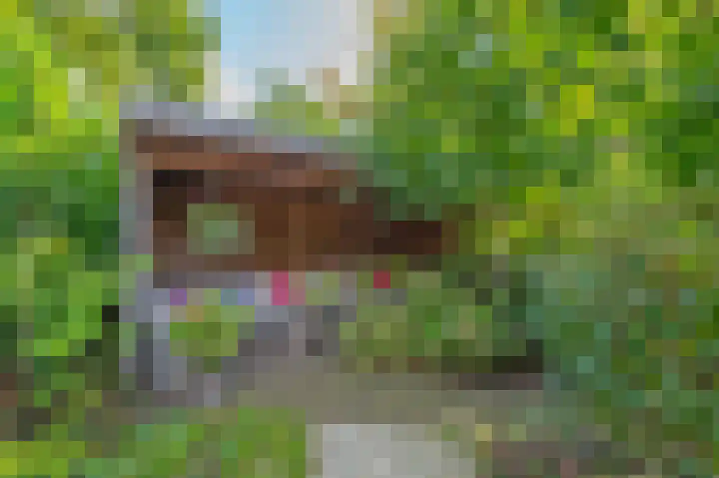 Chopinlaan 34 Waalre thumbnail 37