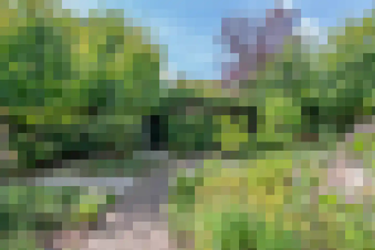 Chopinlaan 34 Waalre thumbnail 38