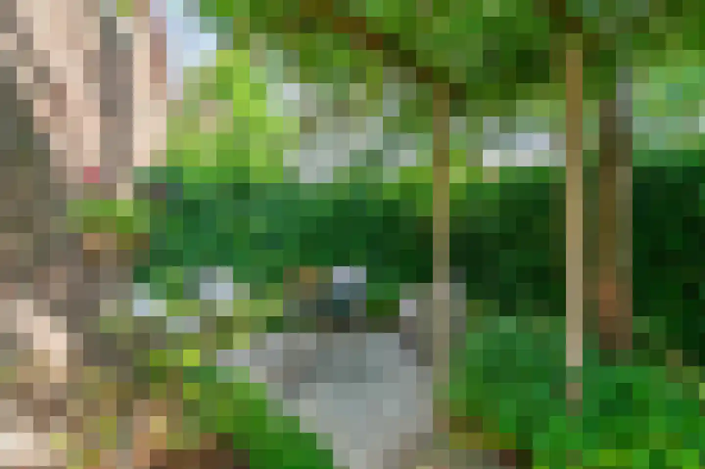 Chopinlaan 34 Waalre thumbnail 40