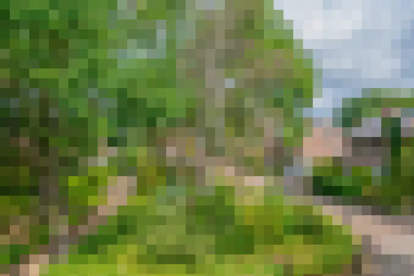 Chopinlaan 34 Waalre thumbnail 43