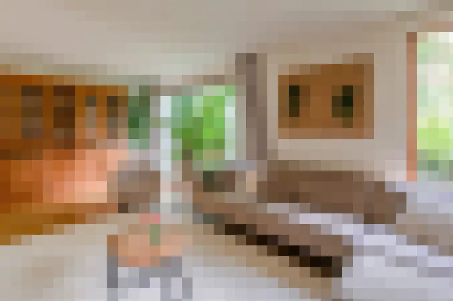 Chopinlaan 34 Waalre thumbnail 9