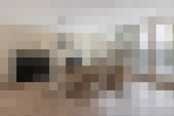 Chopinlaan 4 Waspik thumbnail 10